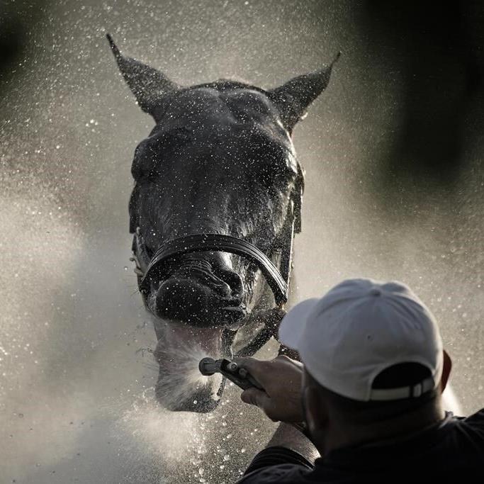 Mystik Dan wins 150th Kentucky Derby by a nose in the closest 3-horse photo finish since 1947